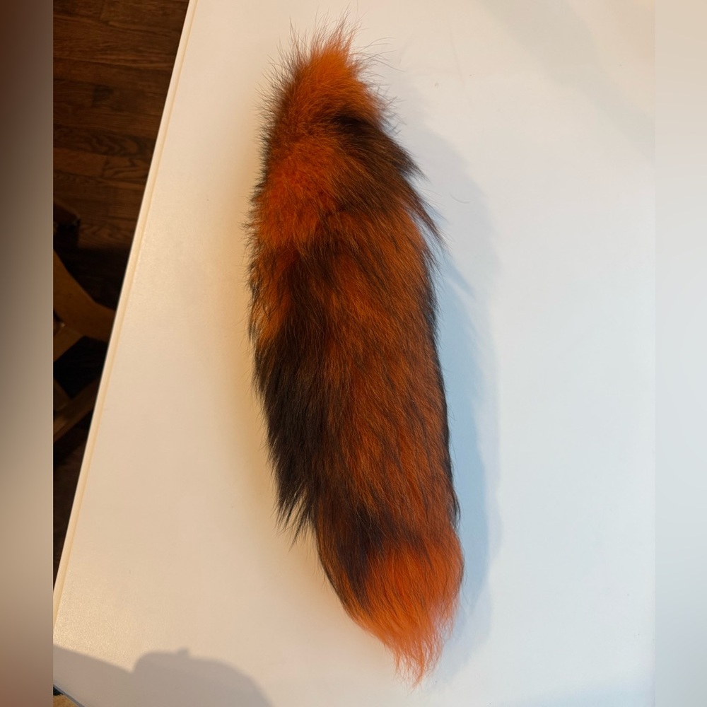 Fox Tail - Picture 2 of 5